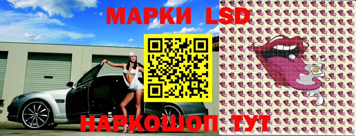 Псилоцибиновые грибы Сорочинск