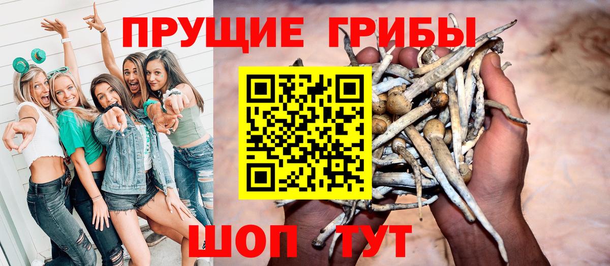 Сорочинск  Галлюциногенные грибы ЛСД  Вход с VPN  Псилоцибиновые грибы Magic Shrooms 